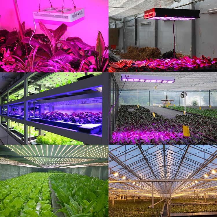 LED Grow Light