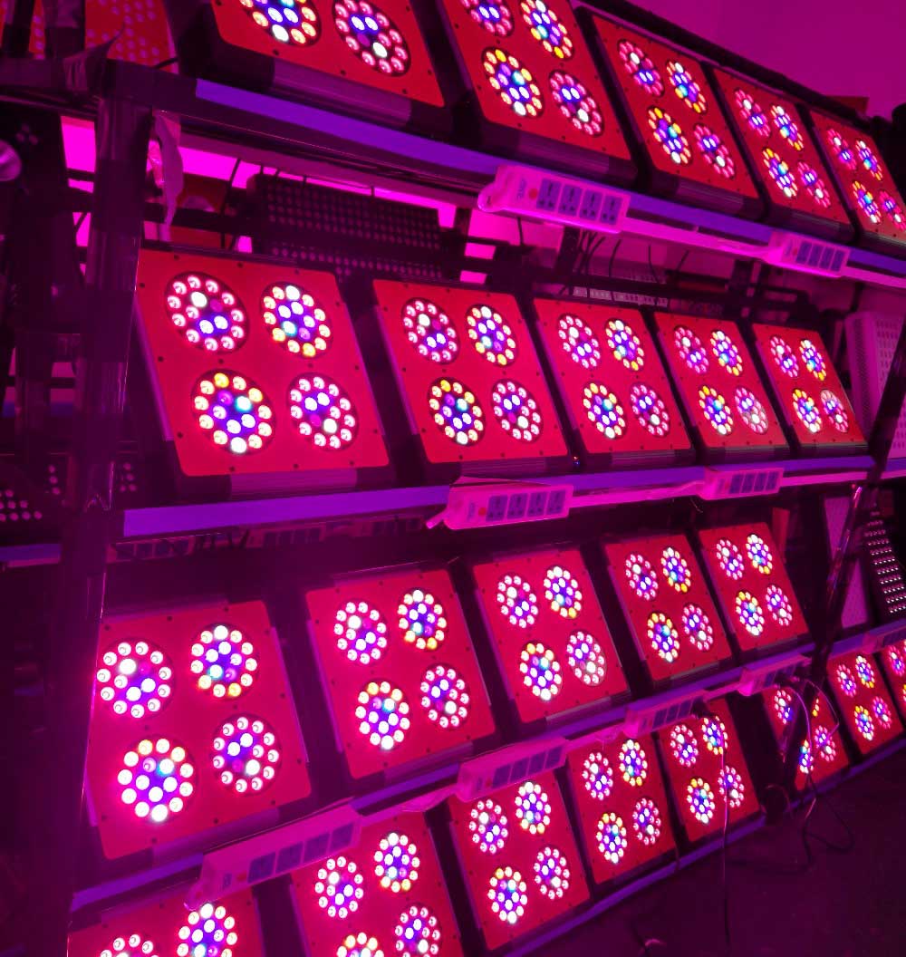LED Grow Light